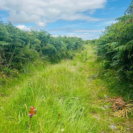 In Connemara 펜션 골웨이