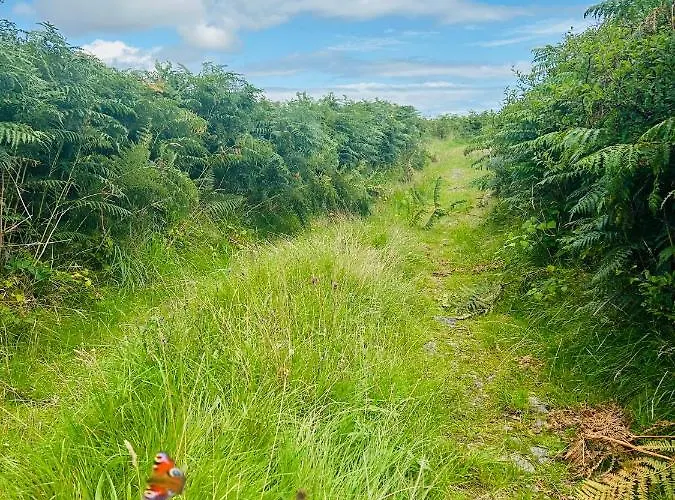 In Connemara بيت للعطل غالواي